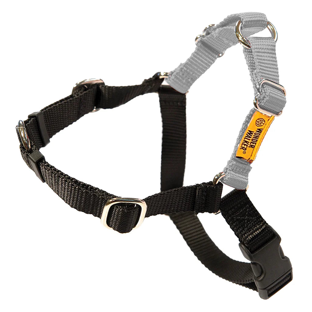 Wonderwalker Harness