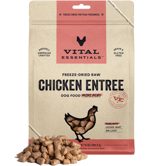 Freeze-Dried Chicken Nibs