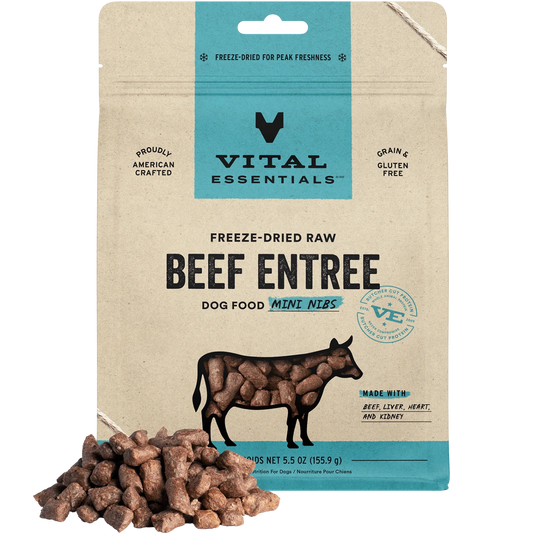 Freeze-Dried Beef Nibs