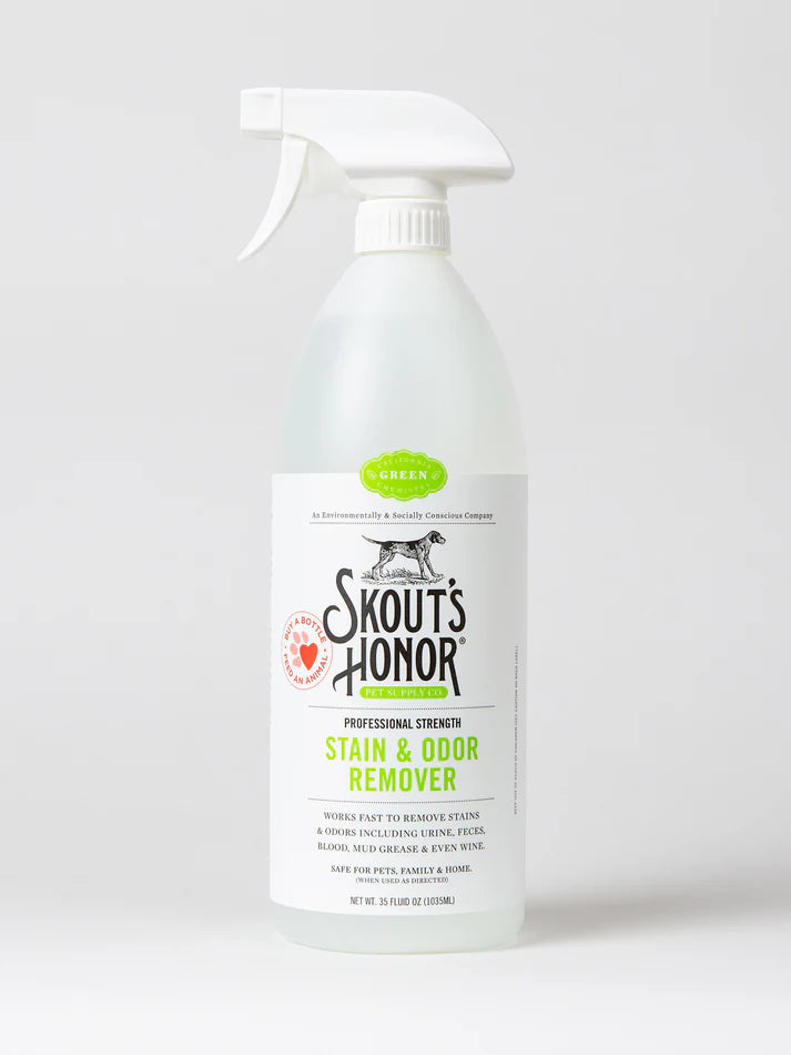 Stain & Odor Remover