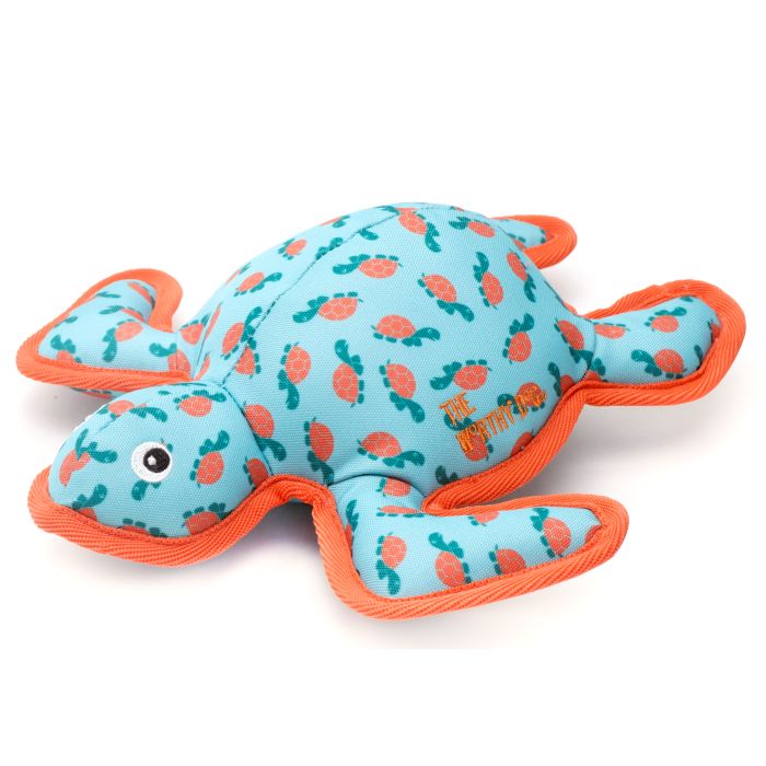 Turtle Toy