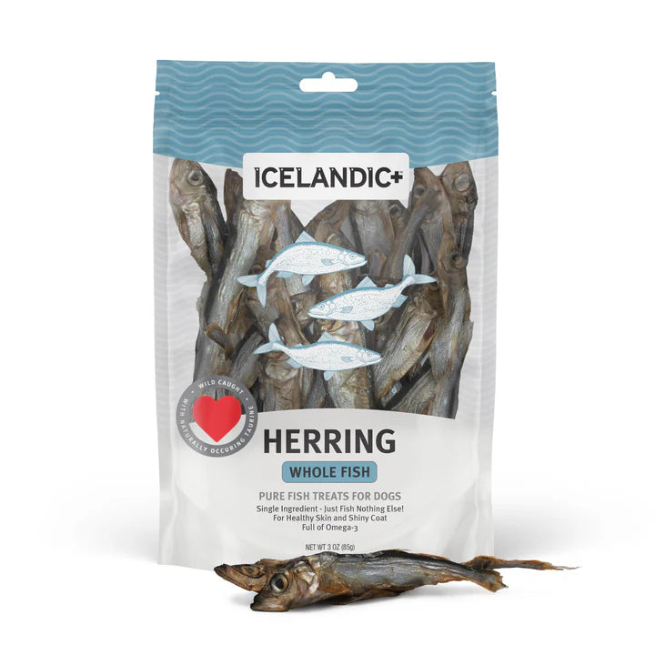 Herring Whole Fish