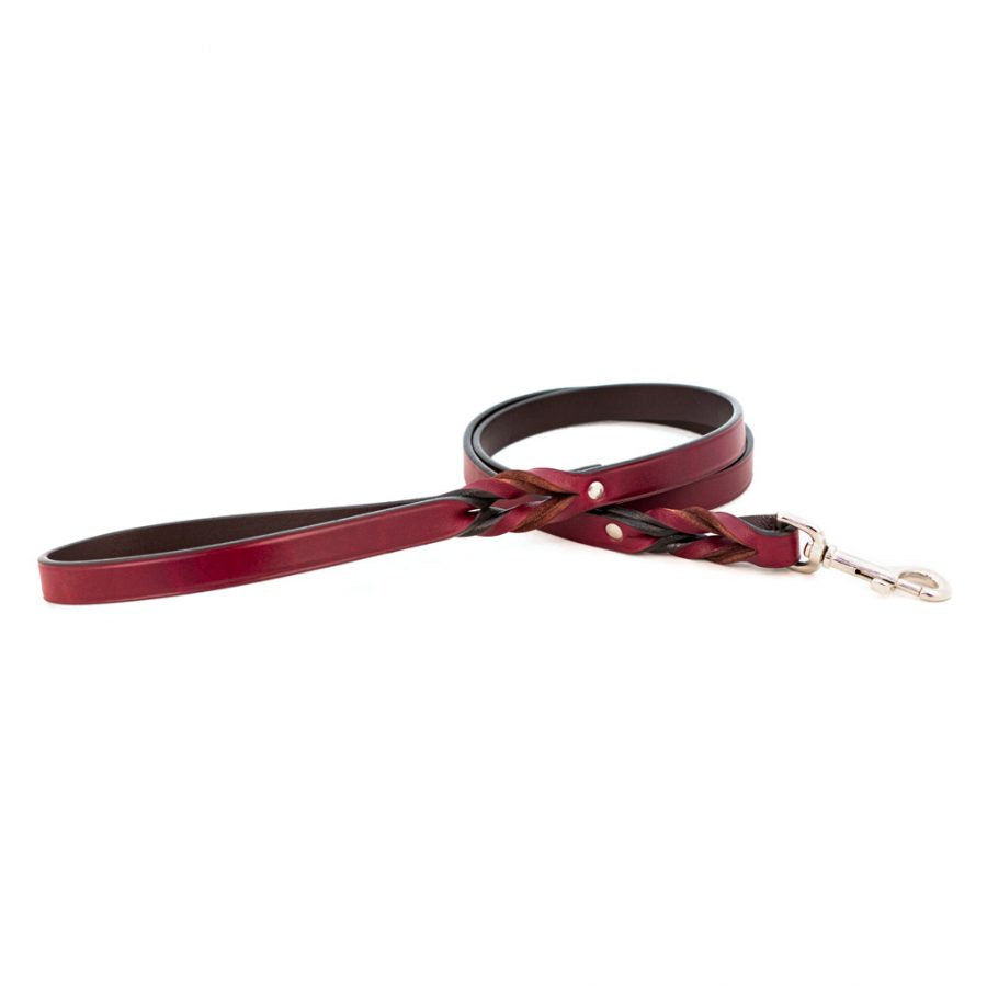 Braided Leather Leashes