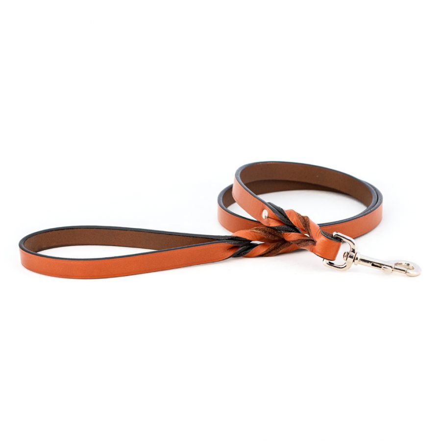 Braided Leather Leashes