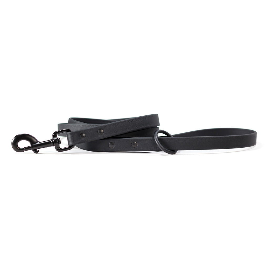 Range Day Leashes