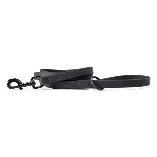 Range Day Leashes