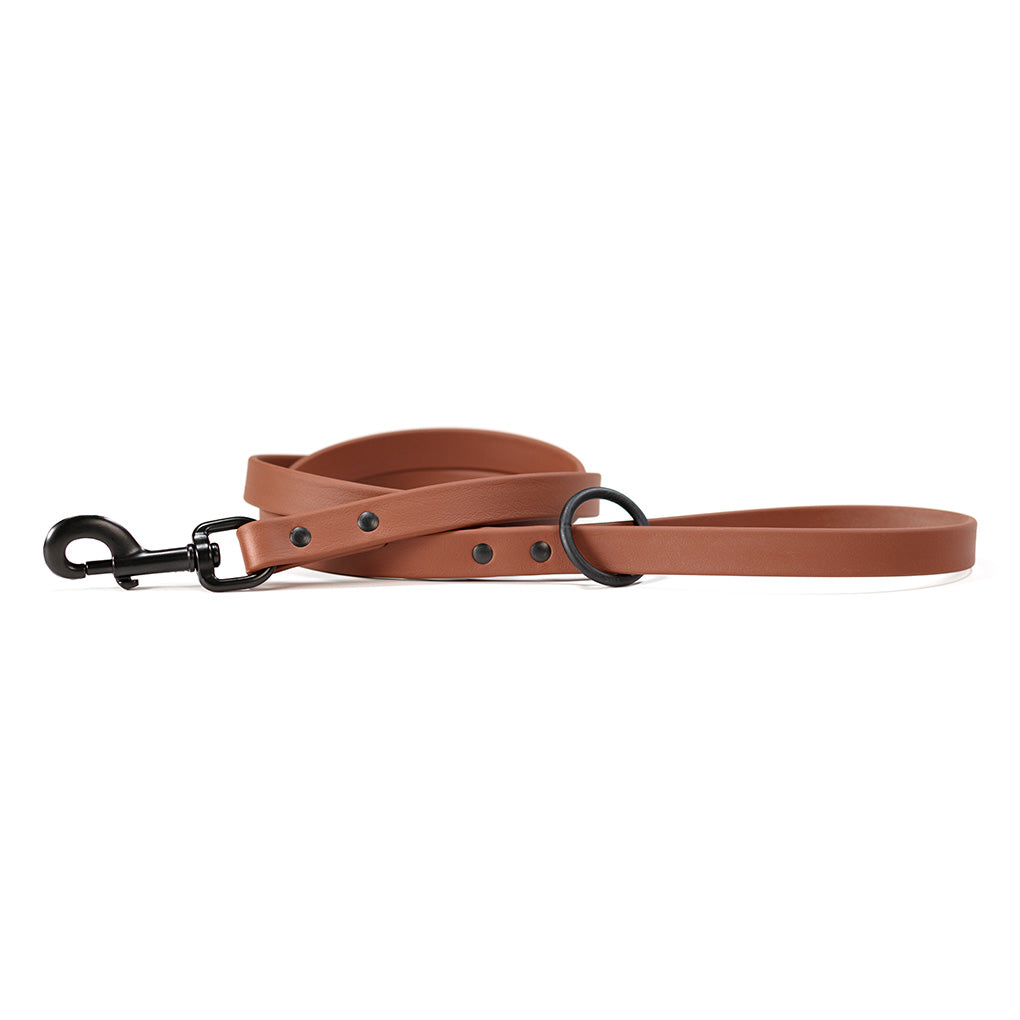 Range Day Leashes