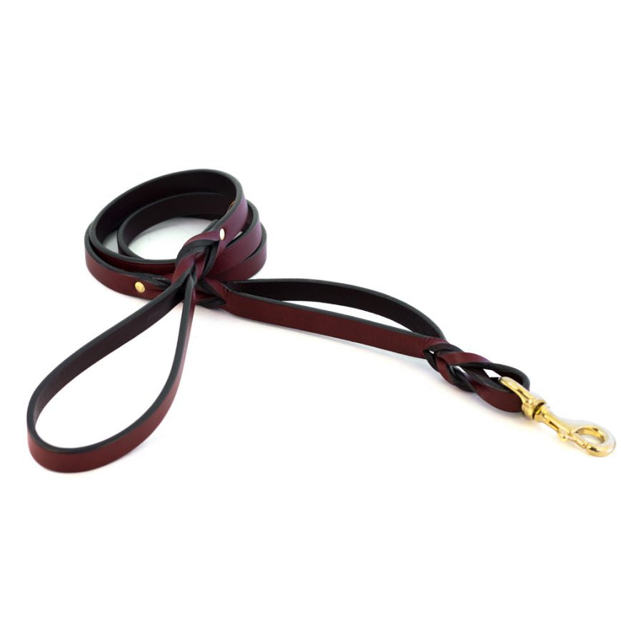 Two-Handled Braided Leather Leashes