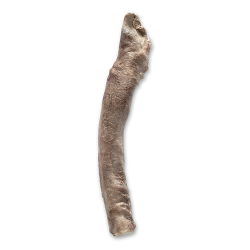 Freeze-Dried Bully Stick
