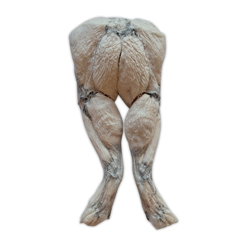 Frog Legs
