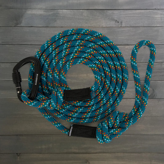 Reflective Leashes