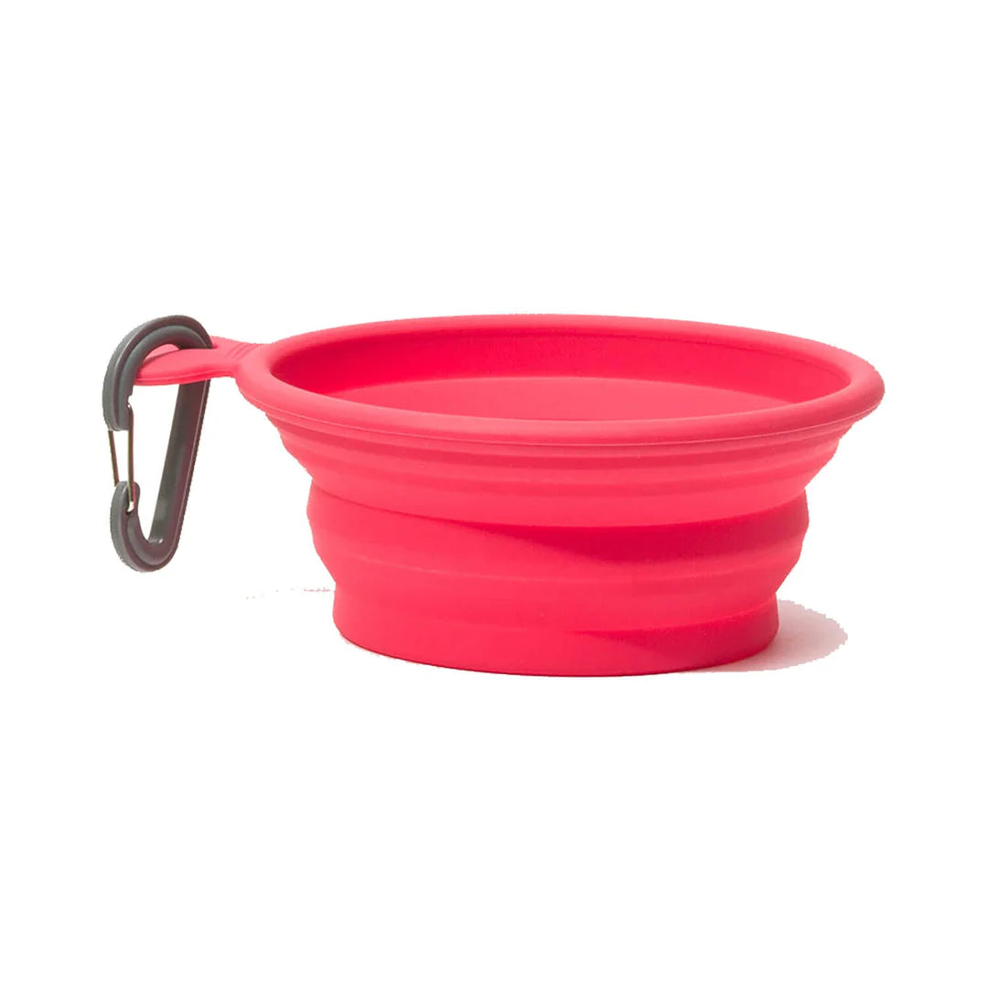 Silicone Collapsible Dog Bowls