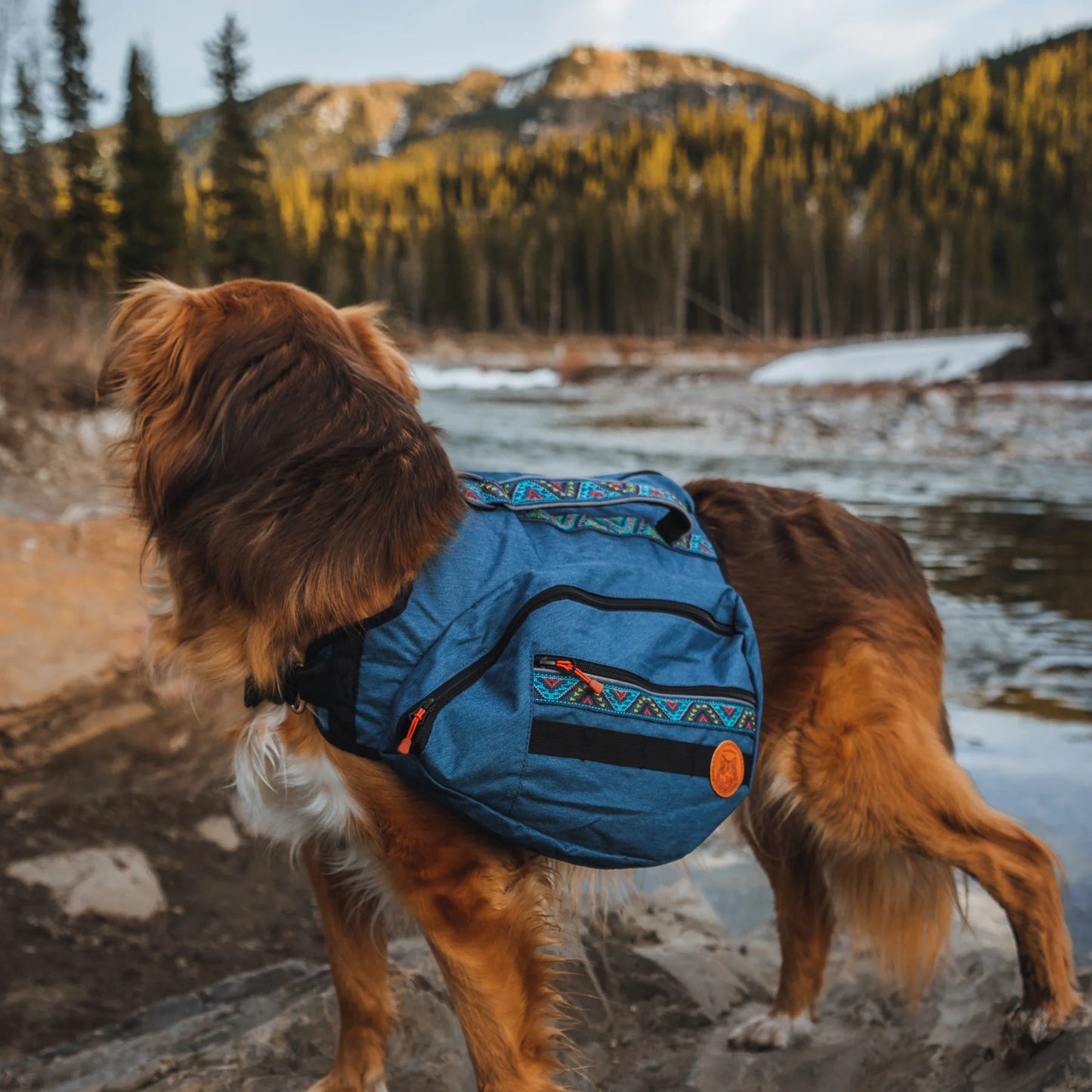 Dog Backpacks