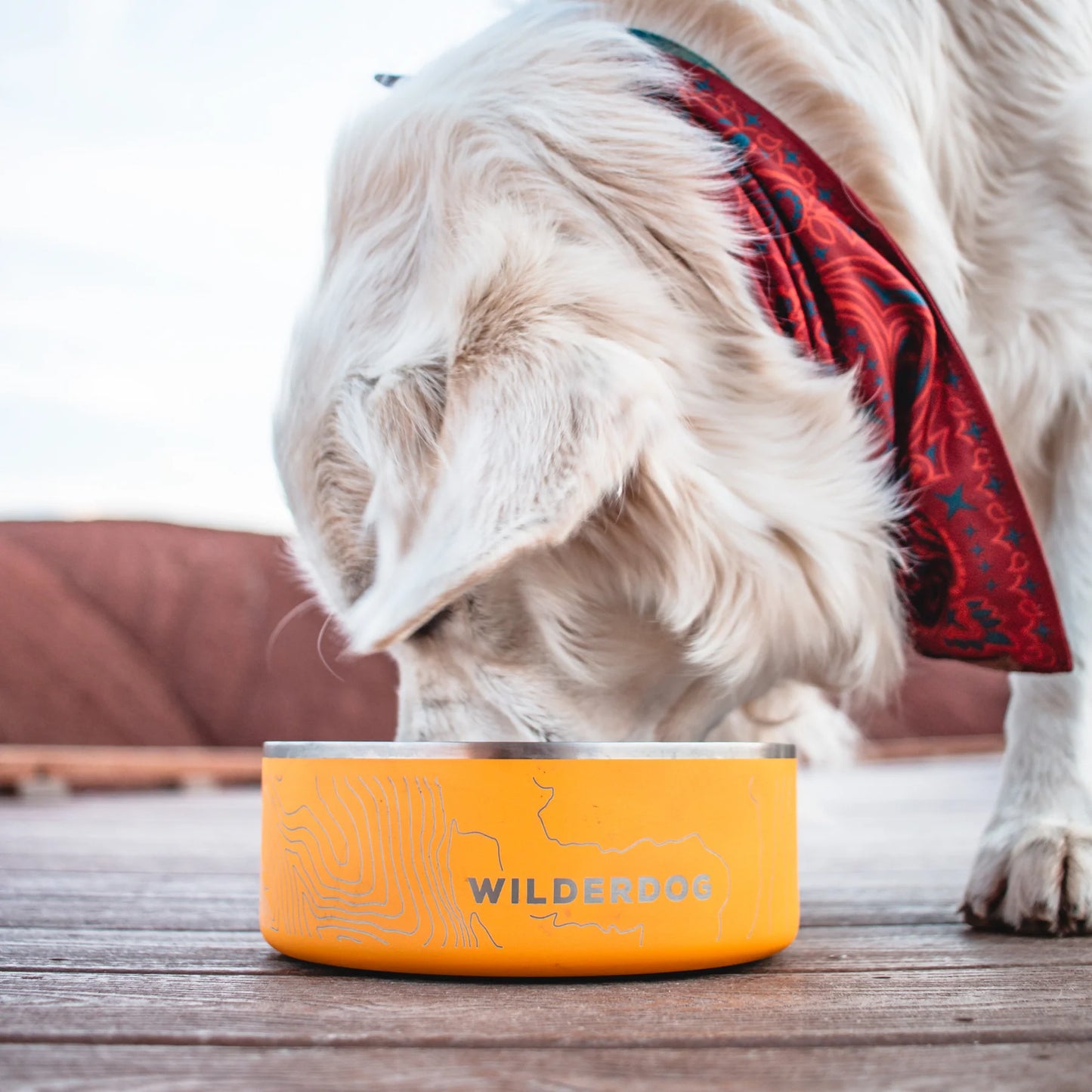 Stainless Steel Dog Bowls