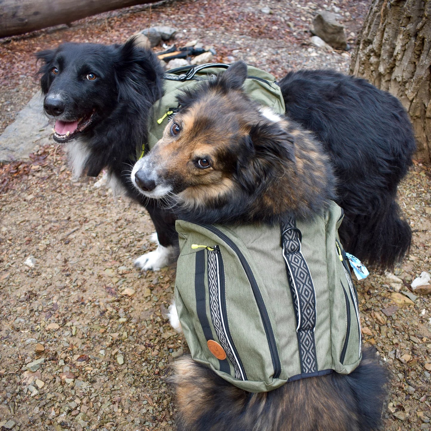 Dog Backpacks