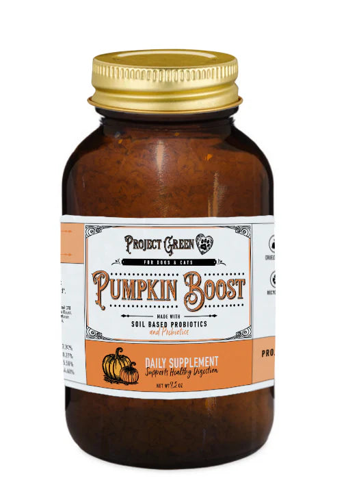 Project Green Pumpkin Boost Daily Supplement