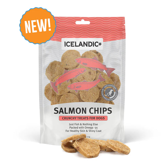 Salmon Chips