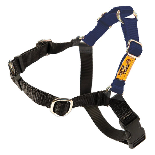 Wonderwalker Harness