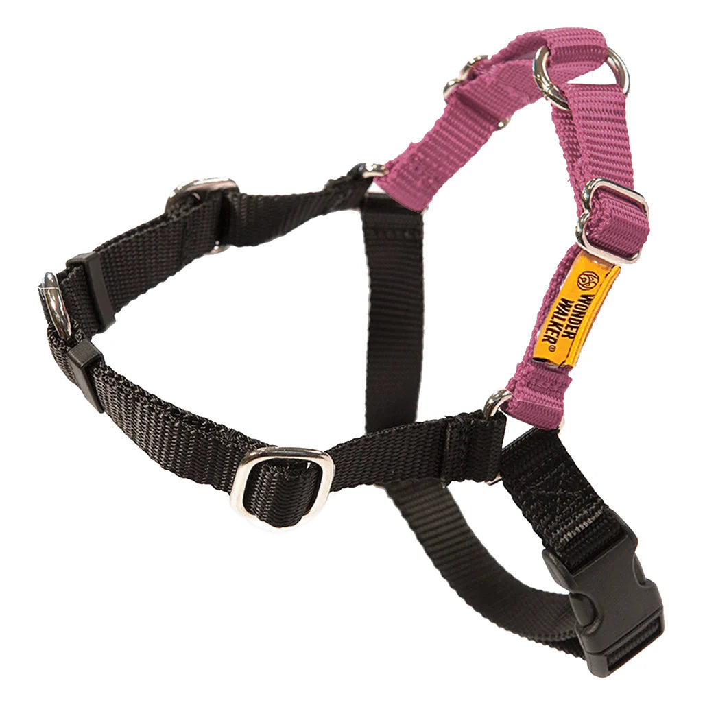 Wonderwalker Harness