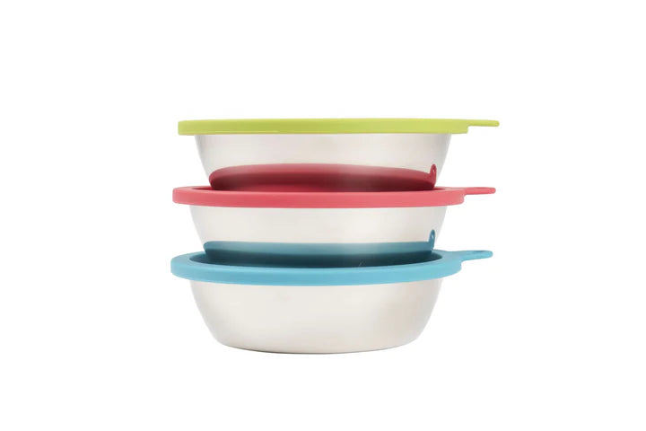 Stainless Steel Dog Bowl & Silicon Lid