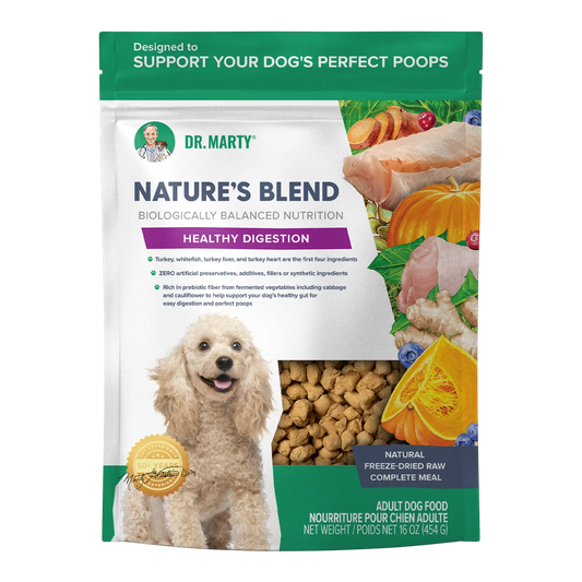 Dr. Marty Nature’s Blend Healthy Digestion