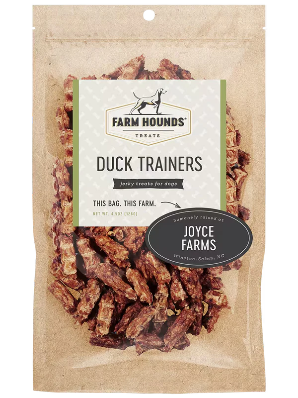Farm Hounds Duck Trainers