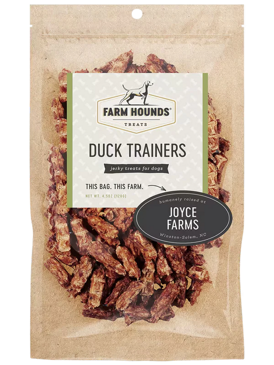 Farm Hounds Duck Trainers
